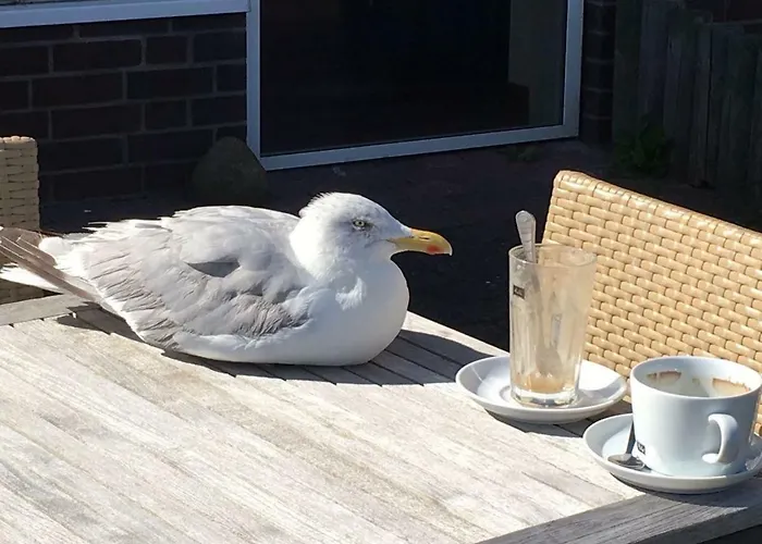 Location Apartament Sopot